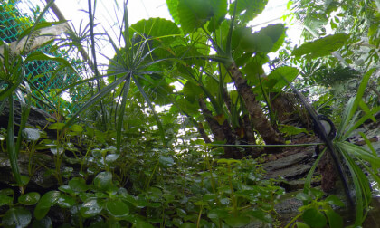 Macro-zoo VR Video Macro-zoo VR