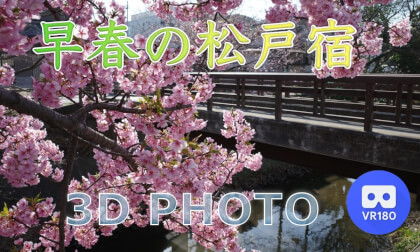 Matsudo_juku in early spring Matsudo_juku in early spring