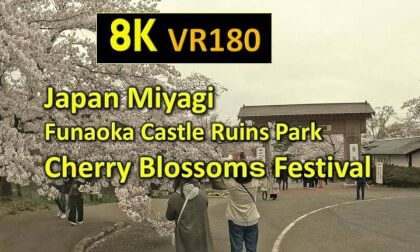 Japan Miyagi Funaoka Castle Ruins Park Cherry Blossoms Festival VR Video Japan Miyagi Funaoka Castle Ruins Park Cherry Blossoms Festival VR