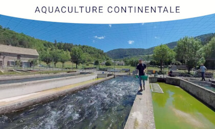 360° Job Discovery: Inland Aquaculture and spirulina/ FULL MOVIE 360° Job Discovery: Inland Aquaculture and spirulina/ FULL MOVIE