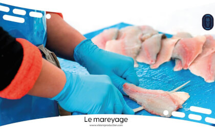 360° Job Discovery: Fish Processing / FULL MOVIE 360° Job Discovery: Fish Processing / FULL MOVIE