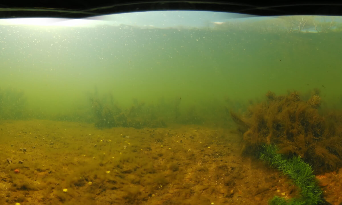 Underwater Carp fishing - 360 Degrees Spring Pools Fishery UK April 2025