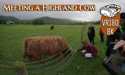 Experience The Scottish Highlands With A Highland Cow In VR | 180° Tour Experience The Scottish Highlands With A Highland Cow In VR | 180° Tour