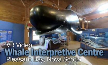 Whale Interpretive Centre Whale Interpretive Centre