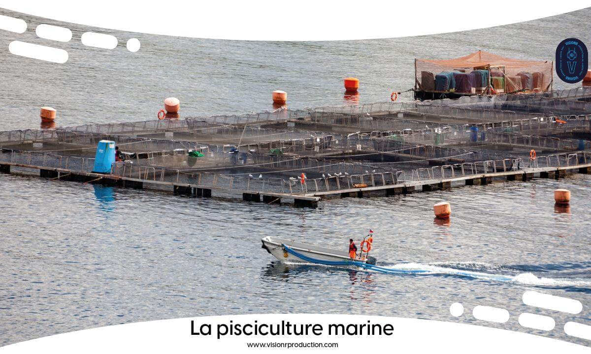 360° Job Discovery: Marine Fish Farming / FULL MOVIE