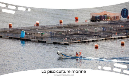 360° Job Discovery: Marine Fish Farming / FULL MOVIE 360° Job Discovery: Marine Fish Farming / FULL MOVIE