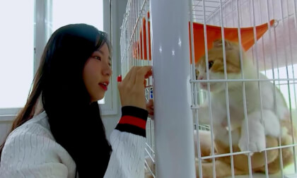 360 Cat VR] vere with jia ep.1