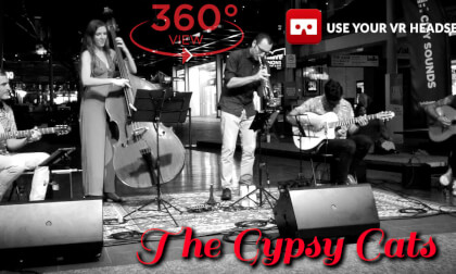 The Gypsy Cats Brisbane Australia VR Video The Gypsy Cats Brisbane Australia VR