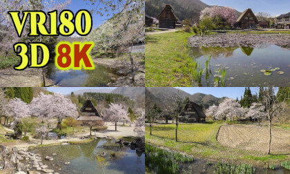 Cherry blossom scenery in Shirakawa-go, a World Cultural Heritage Site in Japan VR Video Cherry blossom scenery in Shirakawa-go, a World Cultural Heritage Site in Japan VR