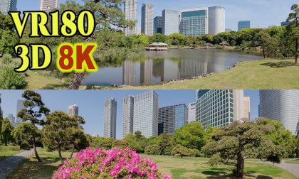 Hamarikyu gardrn,japanese garden with abundant greenery in Tokyo , JAPAN VR Video Hamarikyu gardrn,japanese garden with abundant greenery in Tokyo , JAPAN VR