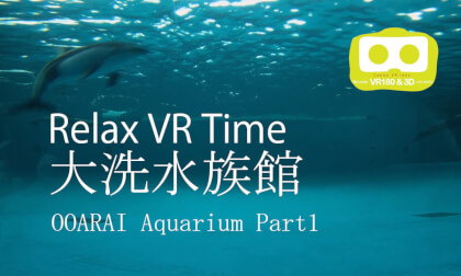 Relax VR Time OOARAI Aquarium part1 Relax VR Time OOARAI Aquarium part1