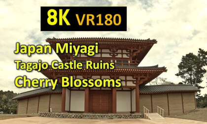 Japan Miyagi Tagajo Castle Ruins Cherry Blossoms VR Video Japan Miyagi Tagajo Castle Ruins Cherry Blossoms VR