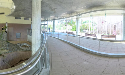 和歌山県白浜町 - Shirahama, Wakayama