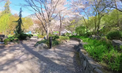 Cotton Wood Falls and Japanese Garden in Nelson, BC VR Video Cotton Wood Falls and Japanese Garden in Nelson, BC VR