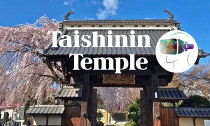 Ancient Gate and Cherry Blossoms VR Video Ancient Gate and Cherry Blossoms VR