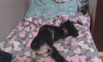 0002_20250423_184421_01 0002_20250423_184421_01