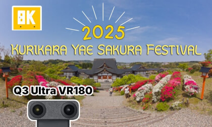 2025 Kurikara Yae Sakura Festival VR Video 2025 Kurikara Yae Sakura Festival VR