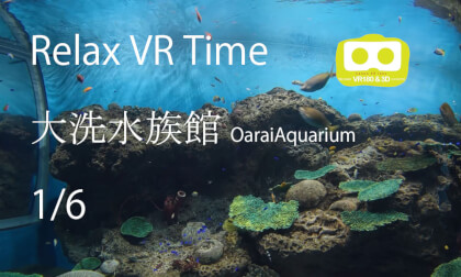 Relax VR Time OaraiAquarium1-6 Relax VR Time OaraiAquarium1-6