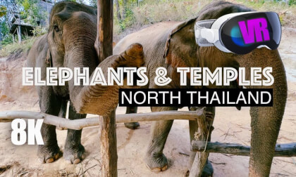 THAILAND in 3D: Elephants & Temples VR Video THAILAND in 3D: Elephants & Temples VR