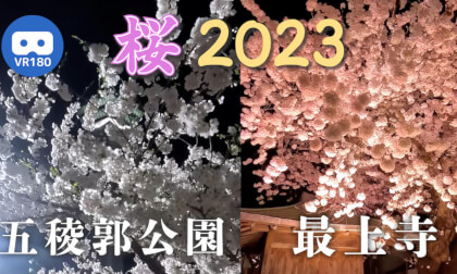 [VR180] Night Cherry Blossoms at Goryokaku Park and Saijo-ji  Temple 2023