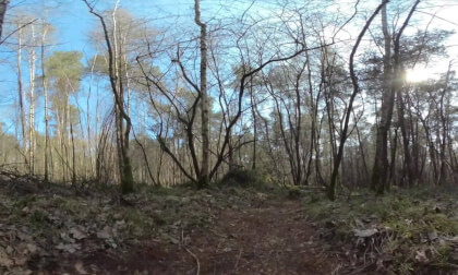Boswandeling in Uelsen in Duitsland VR Video Boswandeling in Uelsen in Duitsland VR