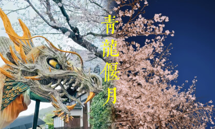 Kyoto Seiryū Festival VR Video Kyoto Seiryū Festival VR