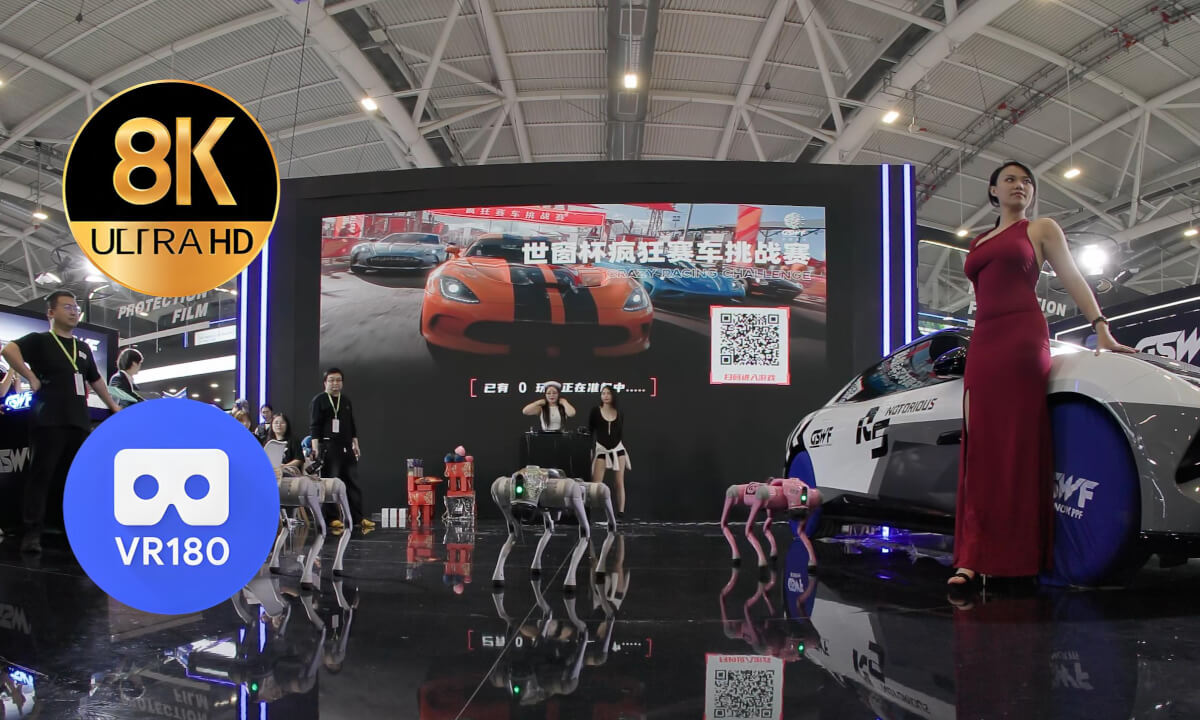 Chinese Robots Dancing at the Show