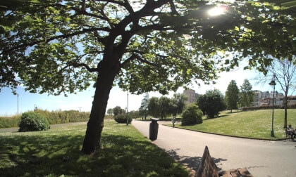 Parque de San Diego (2). A Coruña (VR180 3D) VR Video Parque de San Diego (2). A Coruña (VR180 3D) VR