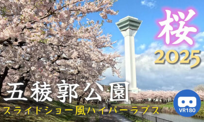 [VR180] Cherry Blossoms in Goryokaku Park 2025 - Slideshow Style Hyperlapse (3D Emphasis)