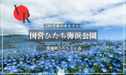 JAPAN VR TOUR .国営ひたち海浜公園-茨城県- VR Video JAPAN VR TOUR .国営ひたち海浜公園-茨城県- VR
