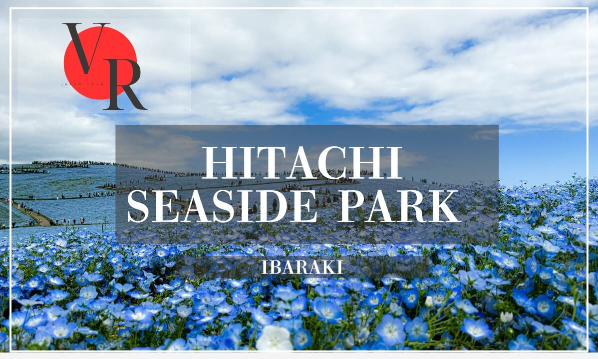 【English narrator】JAPAN VR TOUR Hitachi Seaside Park- Ibaraki prf.
