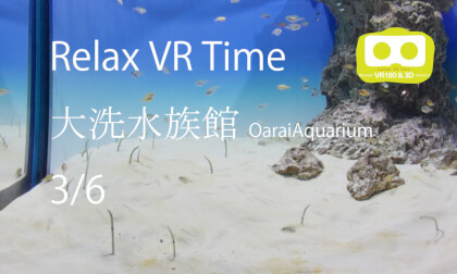 Relax VR Time OoaraiAquarium3-6