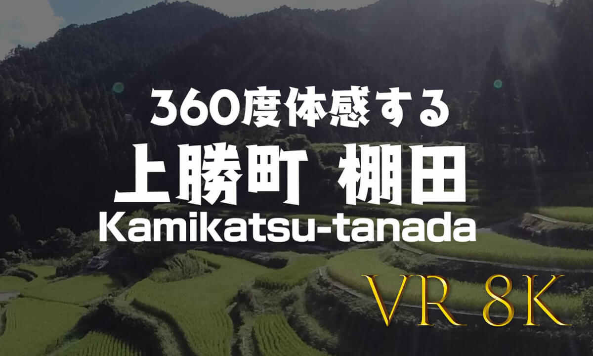 Experience the Timeless Beauty of Kashihara Terraced Rice Fields in VR