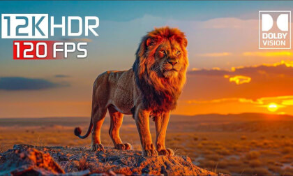 Life on Earth.02 VR Video Life on Earth.02 VR