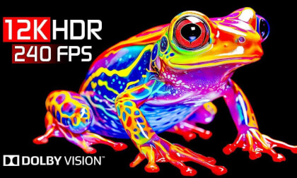 Life on Earth.04 VR Video Life on Earth.04 VR