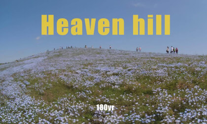 Nemophila_4mm_180VR_12K Nemophila_4mm_180VR_12K