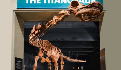 Massive titanosaur, biggest dinosaur ever found, squeezes into Museum of Natural History, New York Massive titanosaur, biggest dinosaur ever found, squeezes into Museum of Natural History, New York
