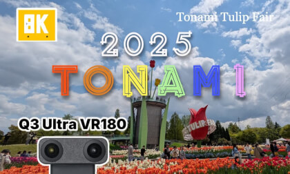 2025 Tonami Tulip Fair Long take  - Q3U VR180 2025 Tonami Tulip Fair Long take  - Q3U VR180