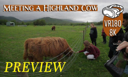 Experience The Scottish Highlands With A Highland Cow In VR | 180° Tour VR Video Experience The Scottish Highlands With A Highland Cow In VR | 180° Tour VR