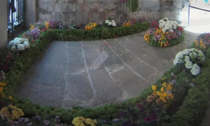 Temps de Flors 2025  GIRONA