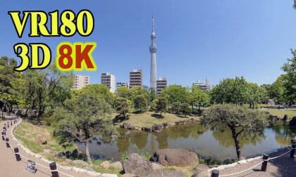 The newly reopened Japanese garden at Sumida Park with the Skytree in the background in Tokyo , JAPAN VR Video The newly reopened Japanese garden at Sumida Park with the Skytree in the background in Tokyo , JAPAN VR