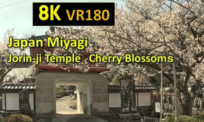 Japan Miyagi Jorin-ji Temple Cherry Blossoms VR Video Japan Miyagi Jorin-ji Temple Cherry Blossoms VR