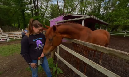 The Animals and Services of The Big Purple Barn Sanctuary 3D 180 VR The Animals and Services of The Big Purple Barn Sanctuary 3D 180 VR