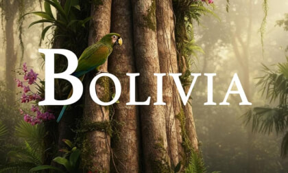 Bolivia 4K – Relaxing Scenery & Hidden Gems with Calming Music VR Video Bolivia 4K – Relaxing Scenery & Hidden Gems with Calming Music VR