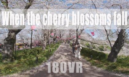 Dope the time the cherry blossoms fall, we.... Dope the time the cherry blossoms fall, we....