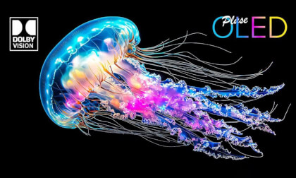 3D Vision Art.02 VR Video 3D Vision Art.02 VR