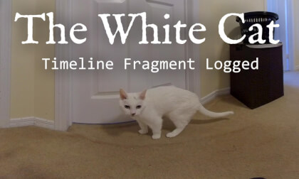 The White Cat // Node 547-B Anomaly // VR180 The White Cat // Node 547-B Anomaly // VR180