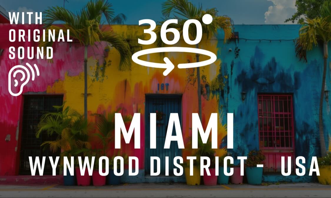 Walking Through Wynwood | 360° Tour of Miami’s Art District