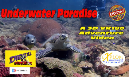 Explore3D Underwater Paradise in Spatial Video Explore3D Underwater Paradise in Spatial Video
