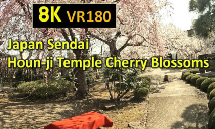 Japan Sendai Houn-ji Temple Cherry Blossoms VR Video Japan Sendai Houn-ji Temple Cherry Blossoms VR